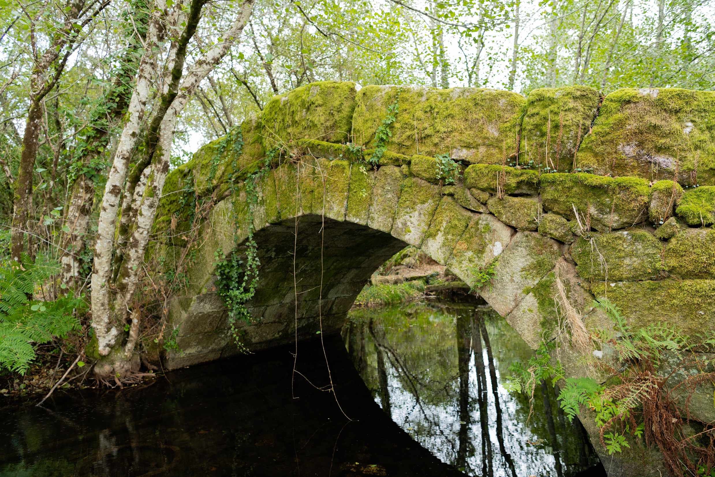 Puente medieval sobre el rio Ribadil en Noceifas parroquia de O Couto