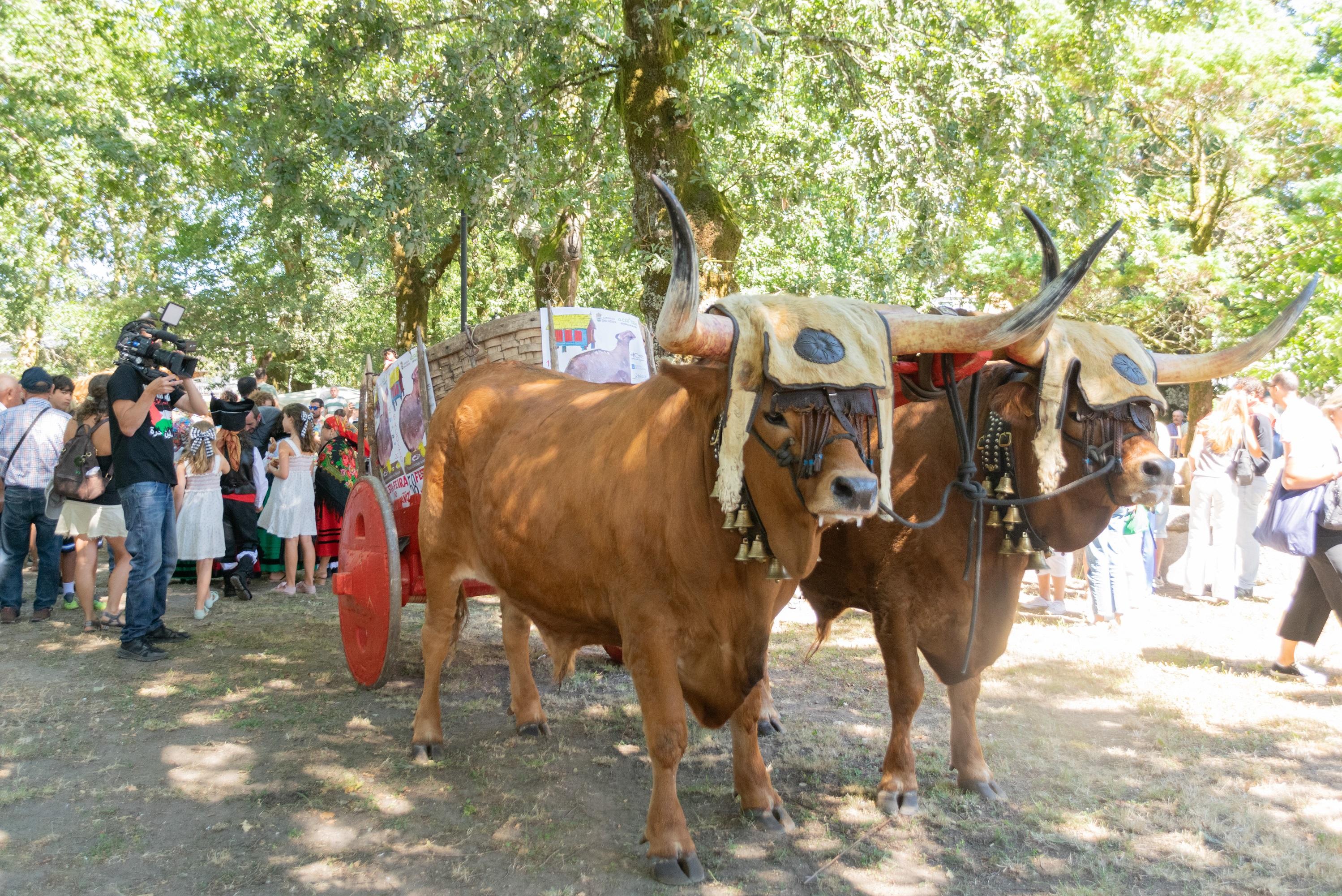 A Cañiza celebra o 15 de agosto a 59 feira do Xamón da Cañiza
