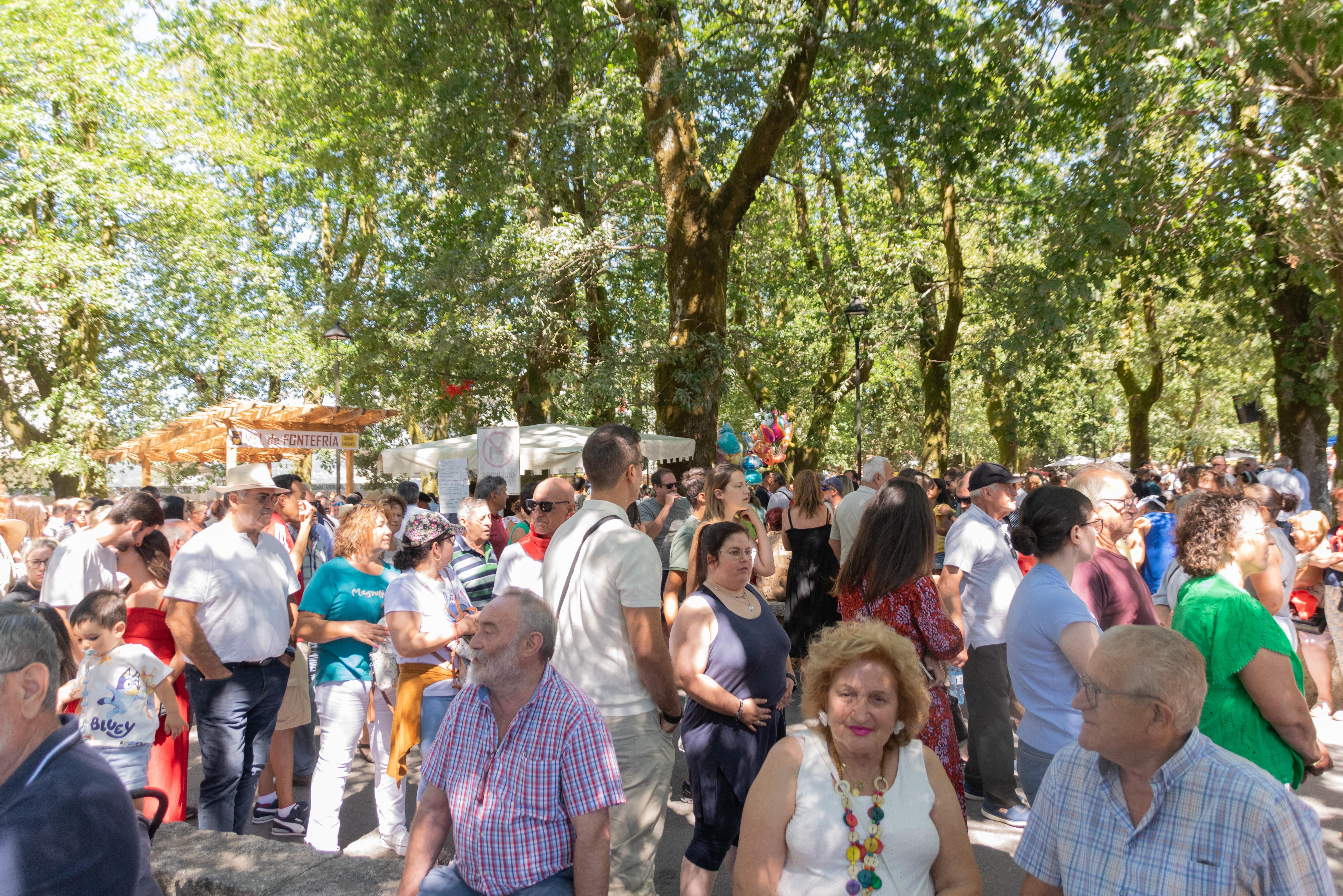 A Cañiza celebra o 15 de agosto a 59 feira do Xamón da CañizaA Cañiza celebra o 15 de agosto a 59 feira do Xamón da Cañiza