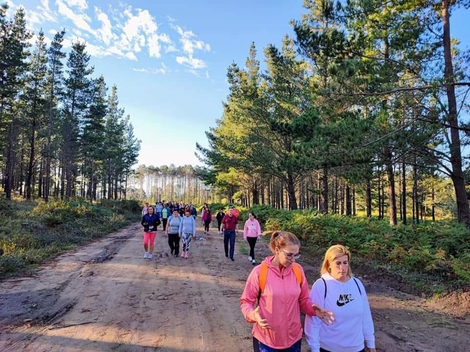 Ruta  de sendeirismo de «Fontefría PR-G 206», incluida no Plan de Reordenación de Sendeiros da Cañiza.