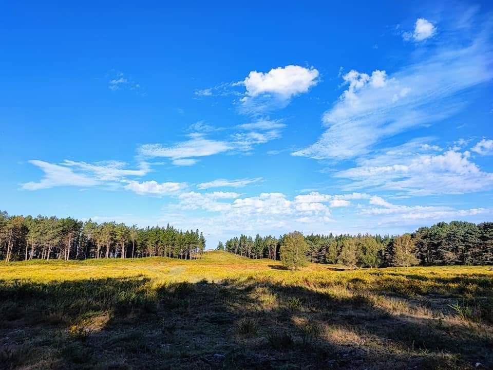 Ruta  de sendeirismo de «Fontefría PR-G 206», incluida no Plan de Reordenación de Sendeiros da Cañiza.