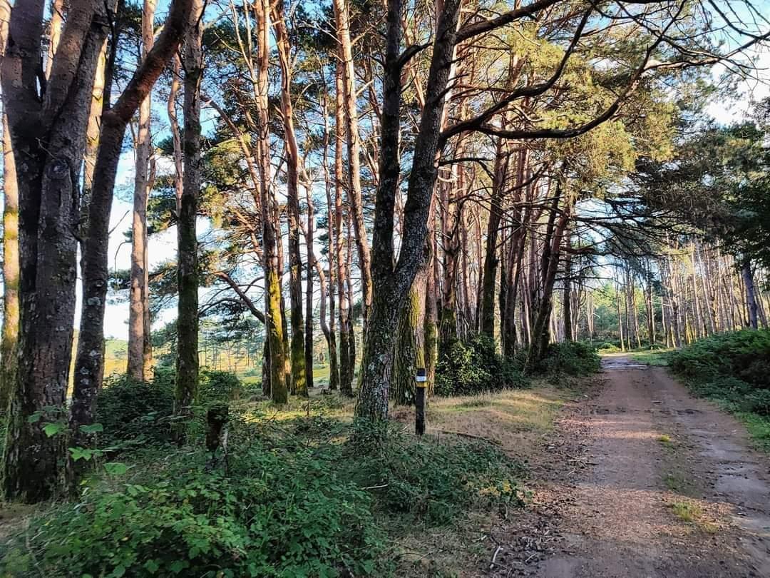 Ruta  de sendeirismo de «Fontefría PR-G 206», incluida no Plan de Reordenación de Sendeiros da Cañiza.