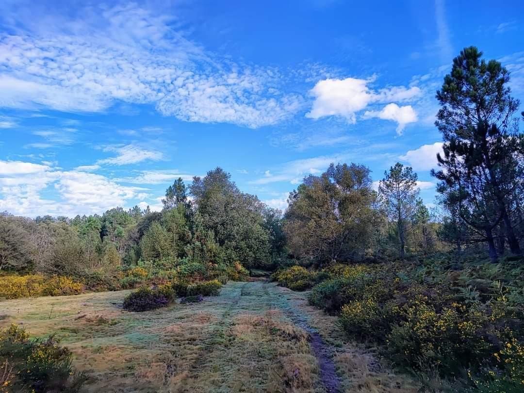 Ruta  de sendeirismo de «Fontefría PR-G 206», incluida no Plan de Reordenación de Sendeiros da Cañiza.