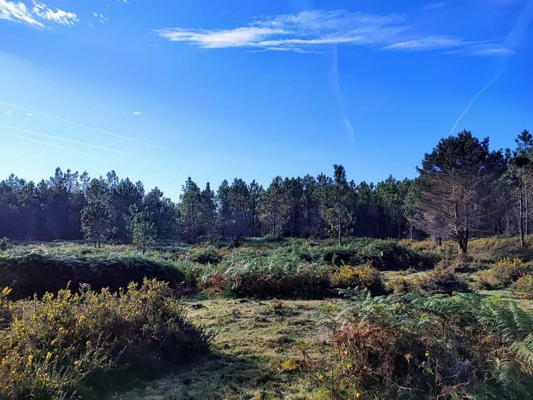 Ruta  de sendeirismo de «Fontefría PR-G 206», incluida no Plan de Reordenación de Sendeiros da Cañiza.