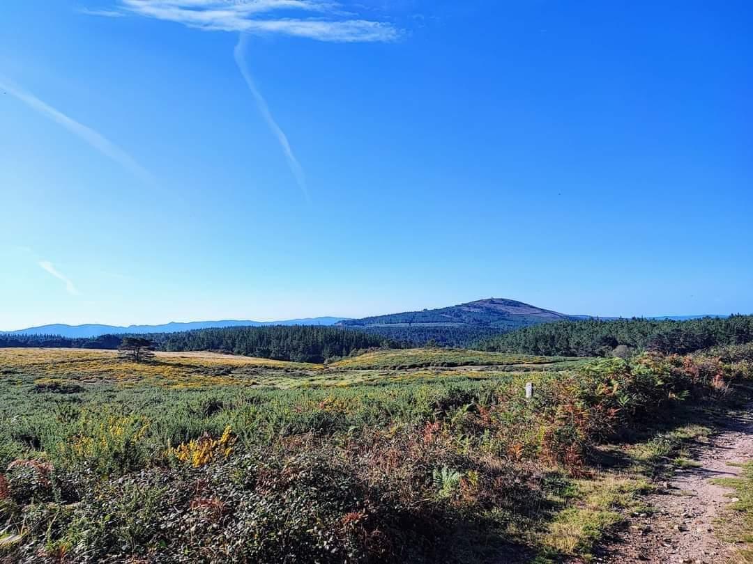 Ruta  de sendeirismo de «Fontefría PR-G 206», incluida no Plan de Reordenación de Sendeiros da Cañiza.
