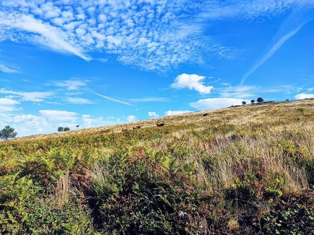 Ruta  de sendeirismo de «Fontefría PR-G 206», incluida no Plan de Reordenación de Sendeiros da Cañiza.