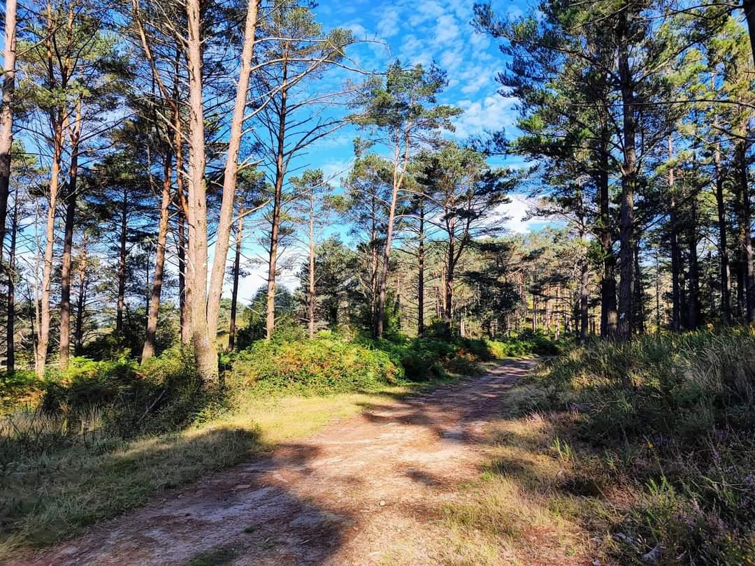 Ruta  de sendeirismo de «Fontefría PR-G 206», incluida no Plan de Reordenación de Sendeiros da Cañiza.