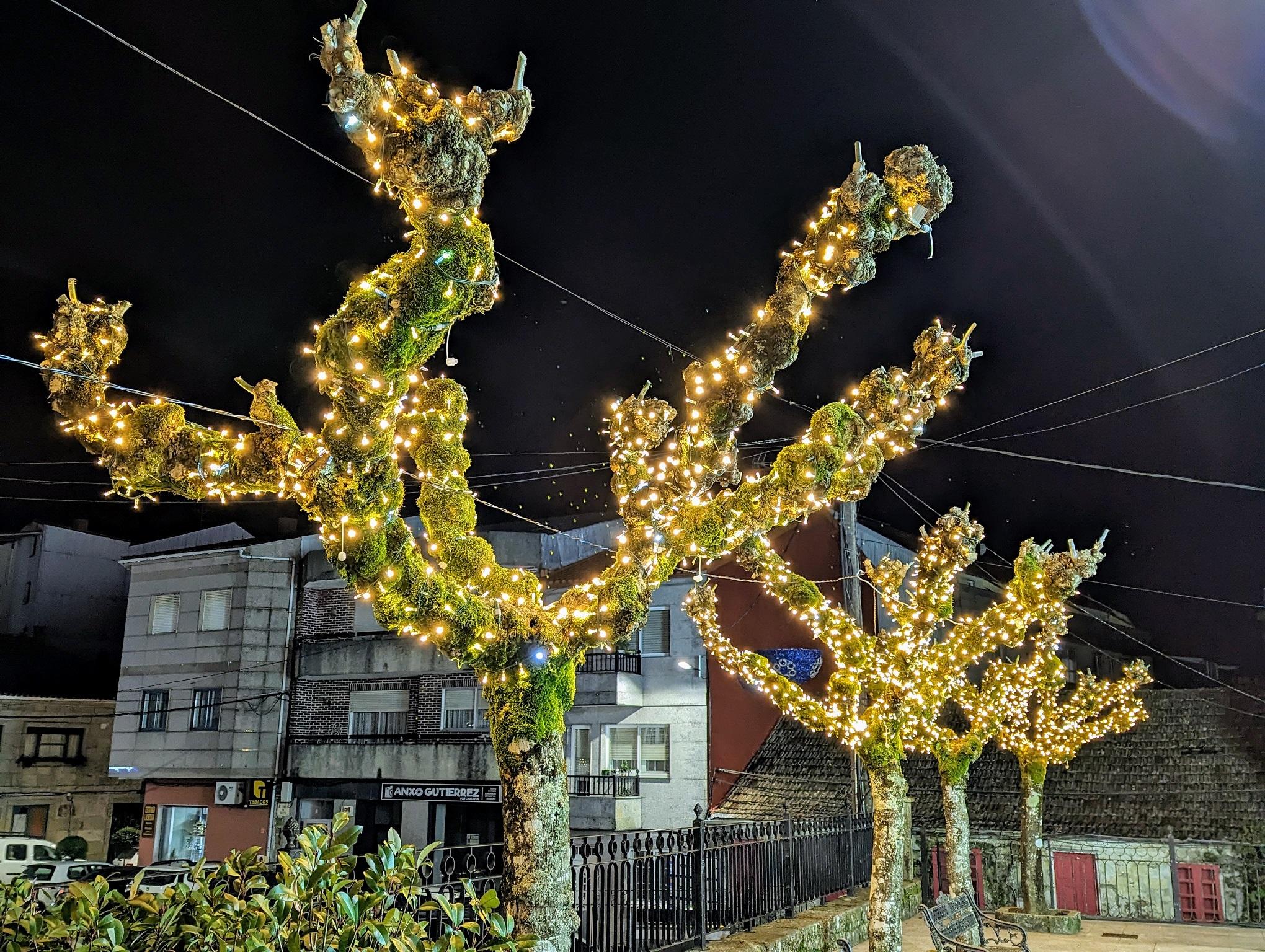 Luces de Nadal A Cañiza 2023