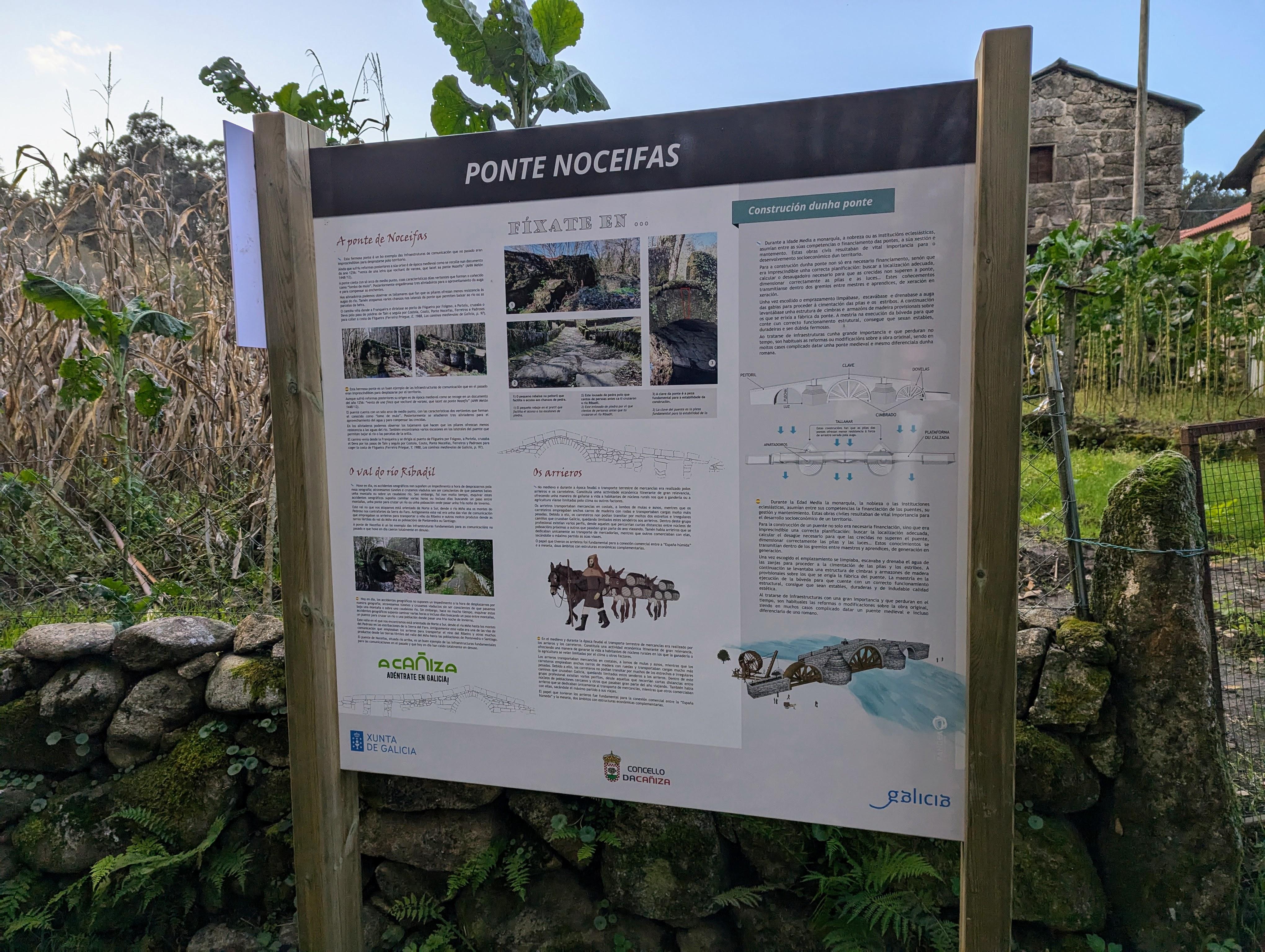 Visitamos a Ponte Medieval de Noceifas tras rematar os traballos de limpeza e recuperación da súa contorna