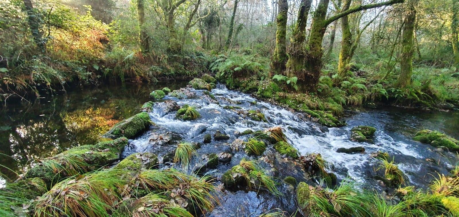 ANDAINA, pola ruta da « CIDADE CASTREXA DAS GRADES ». RUTA PR-G 207