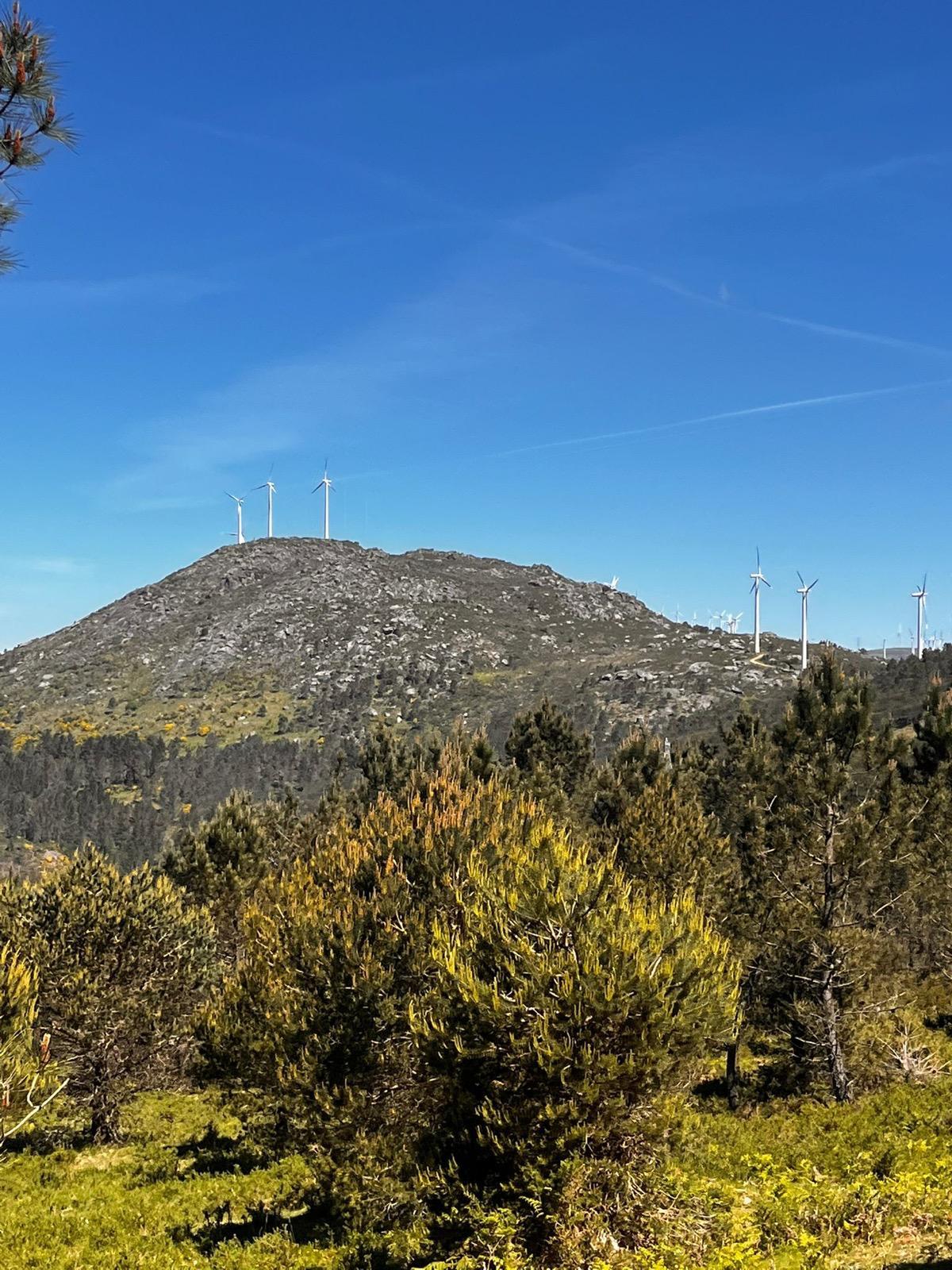Presentamos a 31 edición do  «CURRO DO PEDROSO 2025» que volverá a celebrarse na Cañiza o domingo 10 de agosto