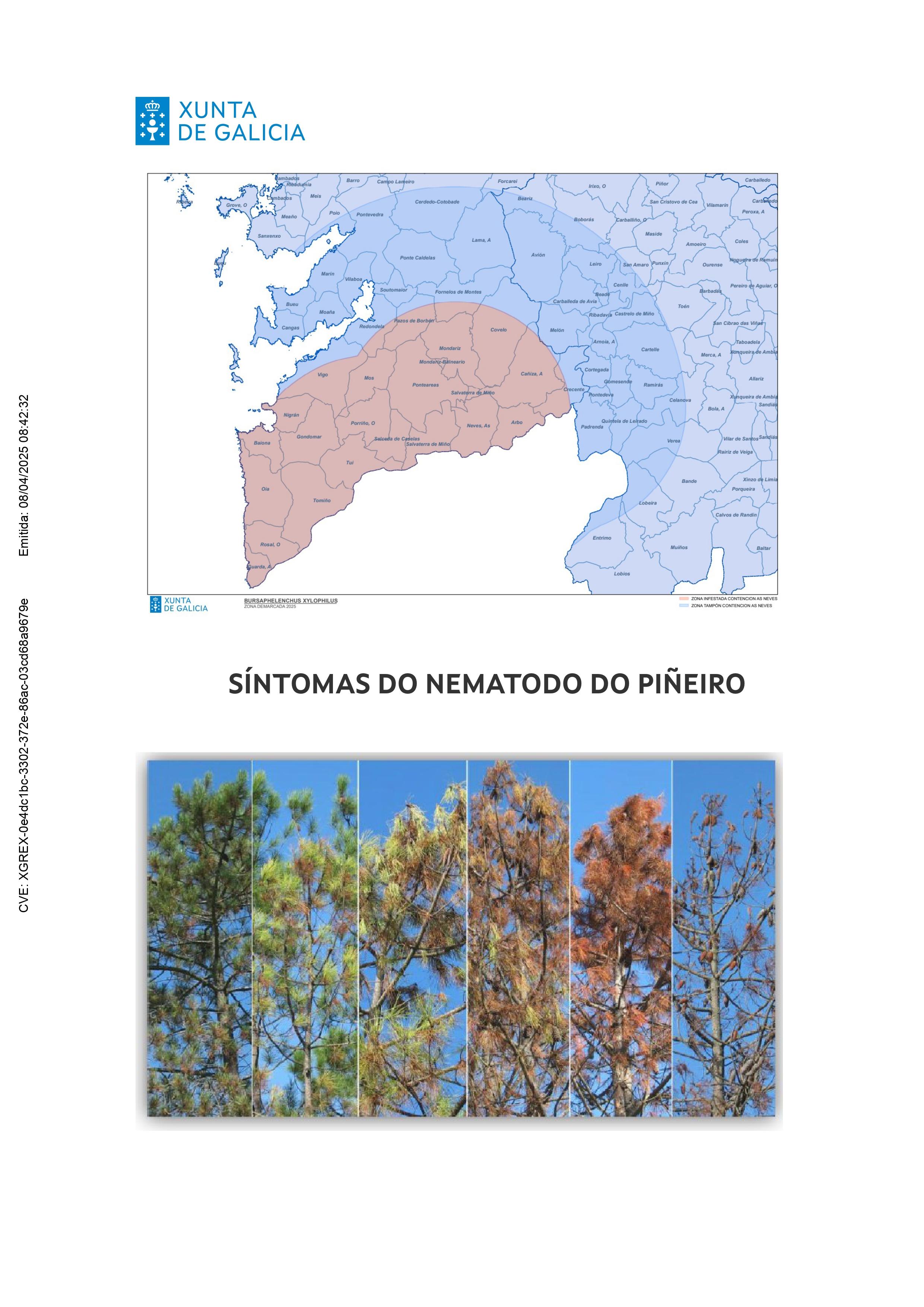 Co motivo da ampliación da zona demarcada polo nematodo do piñeiro, infórmase das medidas que se van a levar a cabo no concello de A Cañiza: