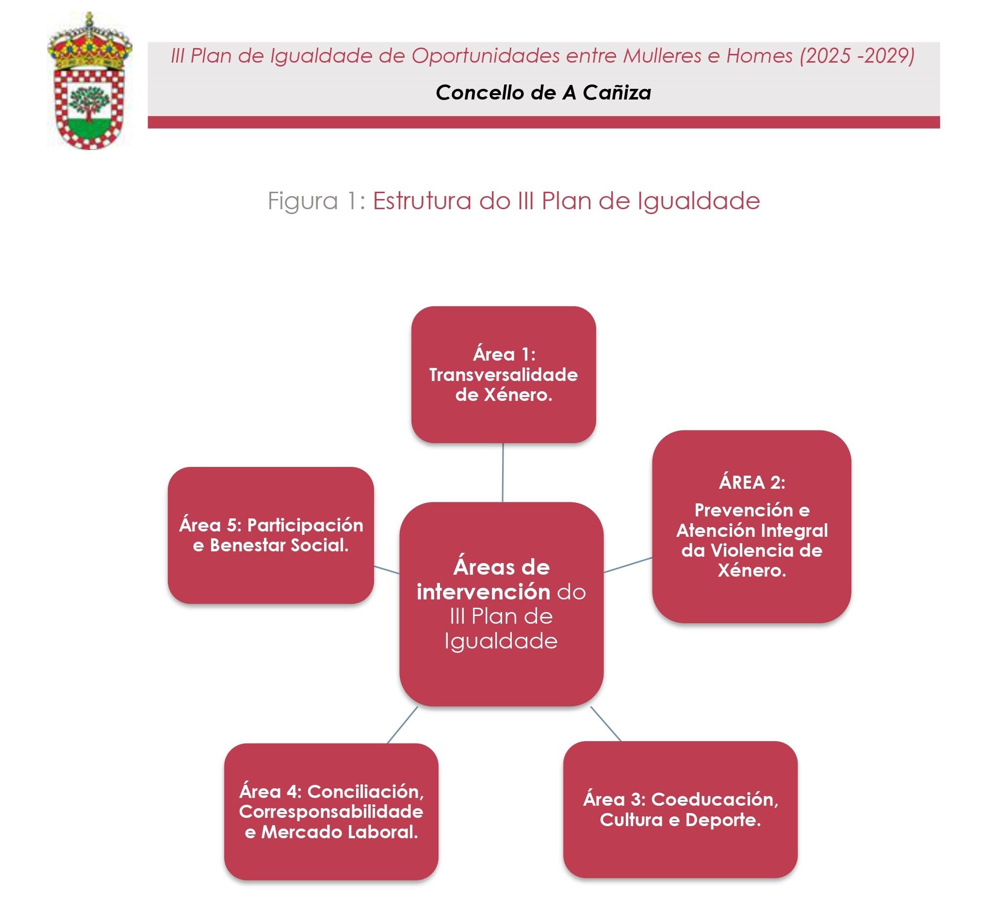 Esquema das 5 áreas sobre as que se vertebra o III PIOM