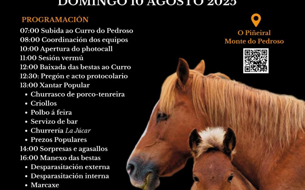 A RAPA DAS BESTAS 2025 – CURRO DO PEDROSO (A Cañiza, Pontevedra)