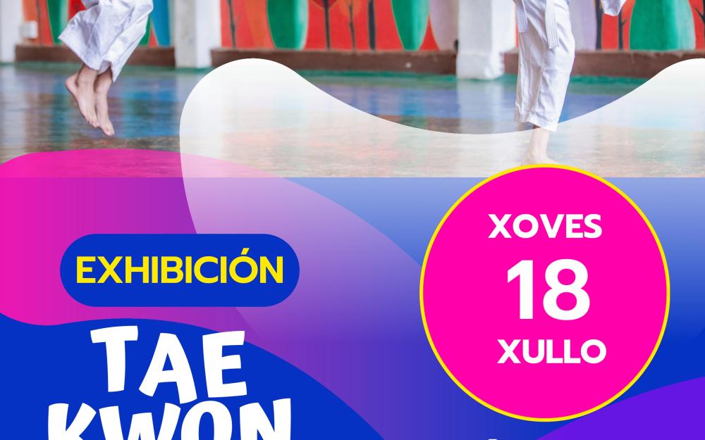 Exhibición de Taekwondo "Verán de Lecer Concello da Cañiza 2024"