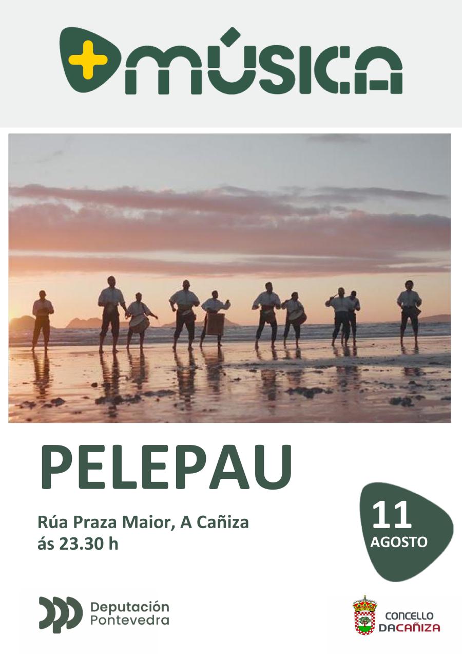 Concerto "Pelepau Sinfónico"