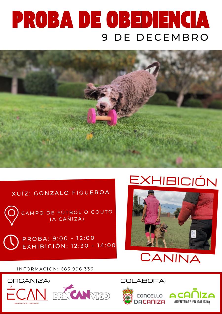 exhibición e proba de obediencia canina este 9 de decembro no Campo de Fútbol do Couto